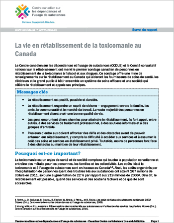 La vie en rétablissement de la toxicomanie au Canada (Survol du rapport)