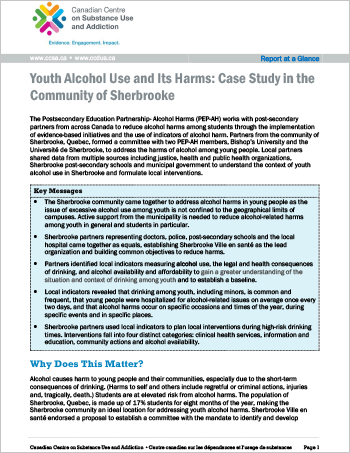 youth alcohol usage research paper