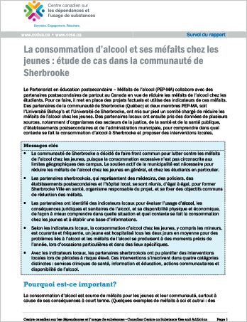 La consommation d’alcool et ses méfaits chez les jeunes : Étude de cas dans la communauté de Sherbrooke (Survol du rapport)