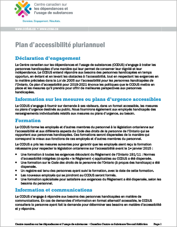 Plan d’accessibilité pluriannuel