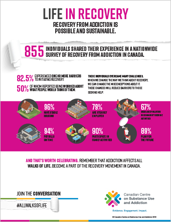 Life in Recovery [fact sheet]