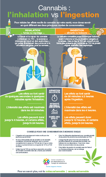 Cannabis : l’inhalation vs l’ingestion [infographie]