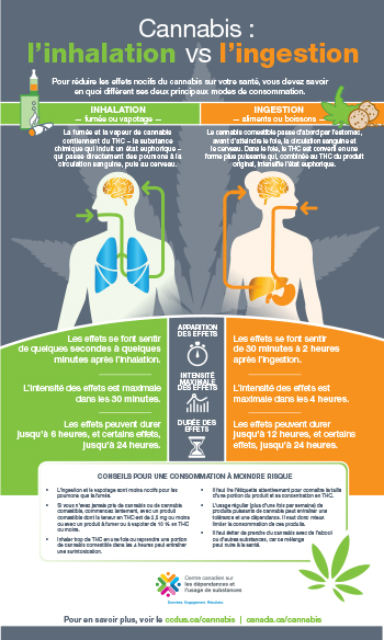 Le « cannabisme passif » enfume les cœurs - A la une - Destination Santé