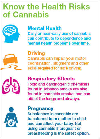 Know the Health Effects of Cannabis [infographic]