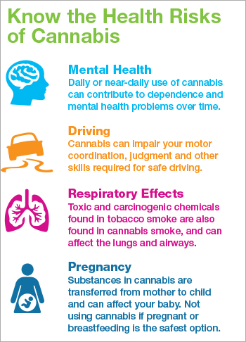 Health Effects of Marijuana, Health Effects, Marijuana