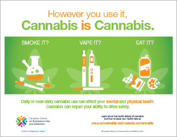 However You Use It, Cannabis is Cannabis [infographic]