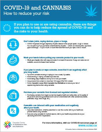 COVID-19 and Cannabis: How to Reduce Your Risk [infographic]