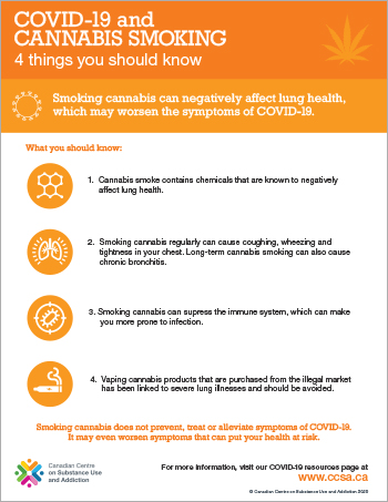 COVID-19 and Cannabis Smoking: 4 Things You Should Know [infographic]