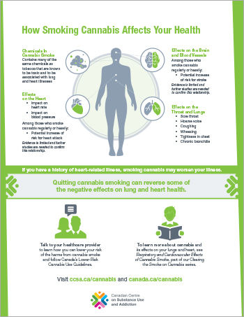 How Smoking Cannabis Affects Your Health [poster]
