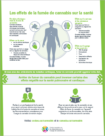 Les effets de la fumée de cannabis sur la santé [affiche]