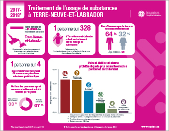 Traitement de l’usage de substances à Terre-Neuve-et-Labrador en 2017–2018