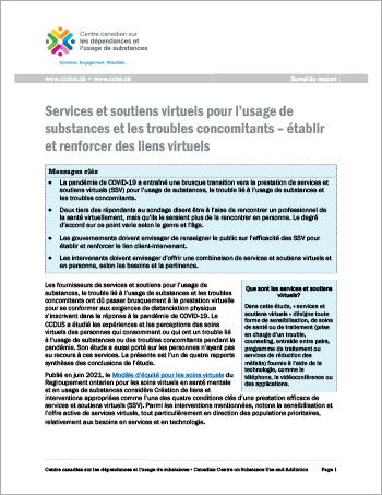 Services et soutiens virtuels pour l’usage de substances et les troubles concomitants – établir et renforcer des liens virtuels (Survol du rapport)