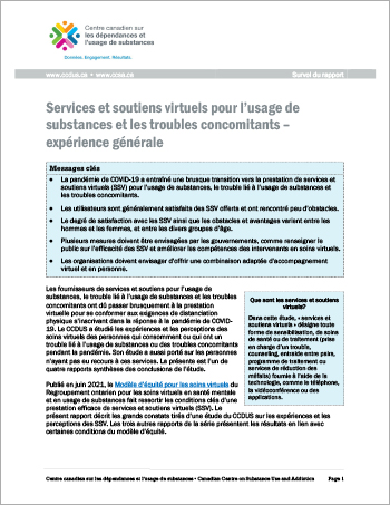 Services et soutiens virtuels pour l’usage de substances et les troubles concomitants – expérience générale (Survol du rapport)