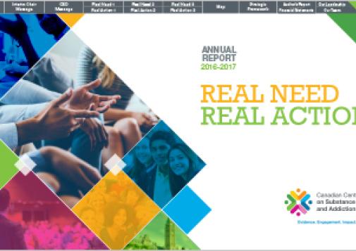 Real Need – Real Action: CCSA Annual Report, 2016-2017