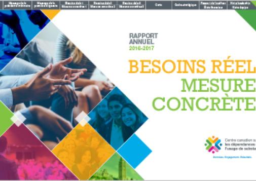 Besoins réels – Mesures concrètes : Rapport annuel du CCDUS, 2016-2017
