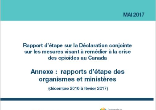 Rapport d’étape sur la Déclaration conjointe sur les mesures visant à remédier à la crise des opioïdes au Canada : annexe (mai 2017)