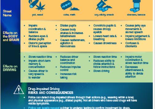 Effects of Drugs on the Body and Driving [handout]