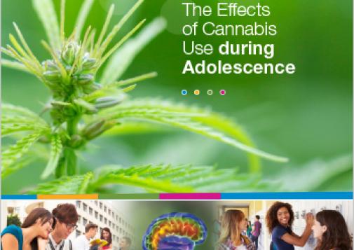 The Effects of Cannabis Use during Adolescence  (Report)