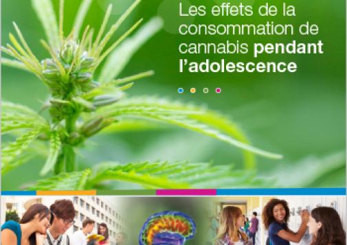 Les effets de la consommation de cannabis pendant l’adolescence (Rapport)