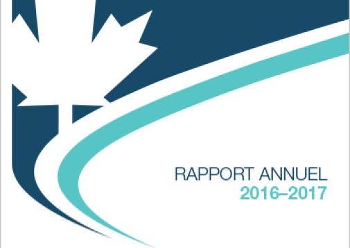 Déclaration conjointe sur les mesures visant à remédier à la crise des opioïdes : Une intervention collective (Rapport annuel 2016-2017)