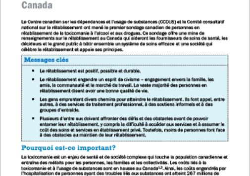 La vie en rétablissement de la toxicomanie au Canada (Survol du rapport)
