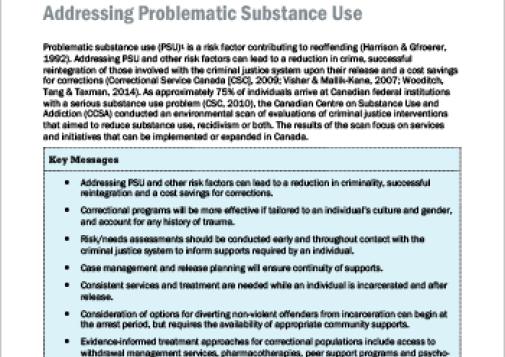 Supporting Reintegration in Corrections by Addressing Problematic Substance Use