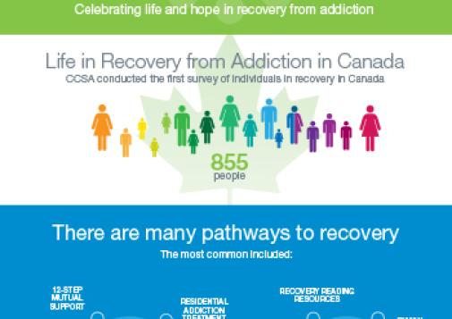 Recovery is Positive and Achievable [infographic]