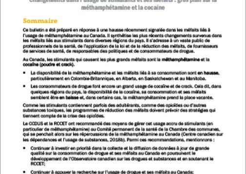 Bulletin du RCCET : Changements dans l’usage de stimulants et ses méfaits : gros plan sur la méthamphétamine et la cocaïne