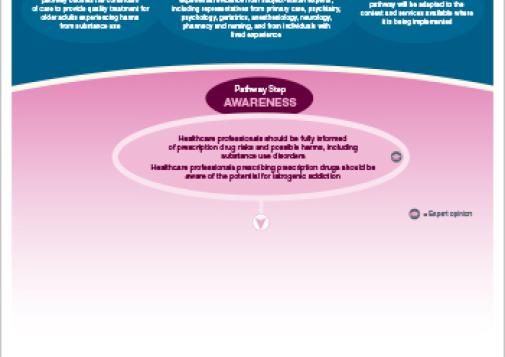 Care Pathway for Older Adults Experiencing Prescription Drug Harms [print version]