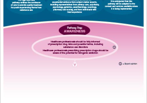Care Pathway for Youth Experiencing Prescription Drug Harms [print version]