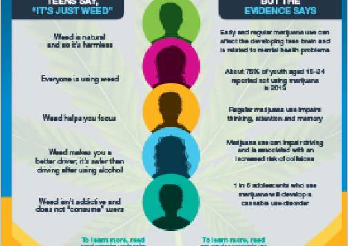 Help Your Teen Understand What's Fact and Fiction about Marijuana [infographic]