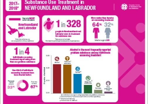 Substance Use Treatment in Newfoundland and Labrador 2017–2018 [infographic]
