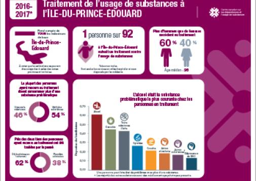 Traitement de l’usage de substances à l’Île-du-Prince-Édouard en 2016–2017 [infographie]