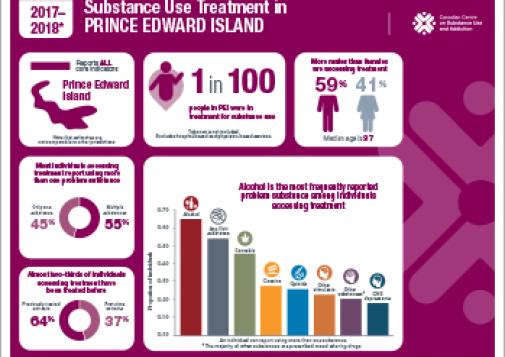 Substance Use Treatment in Prince Edward Island 2017–2018 [infographic]