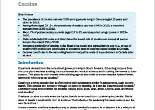 Canadian Drug Summary Cocaine 2022