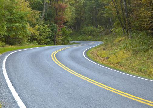 A winding road in the forest