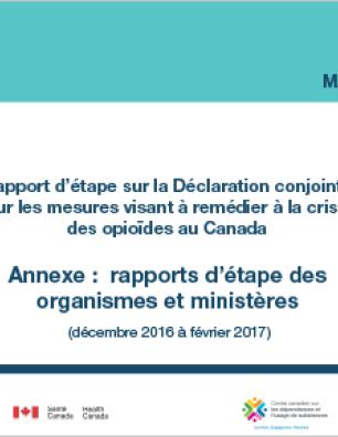 Rapport d’étape sur la Déclaration conjointe sur les mesures visant à remédier à la crise des opioïdes au Canada : annexe (mai 2017)