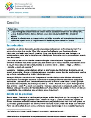 Cocaïne (Sommaire canadien sur la drogue)