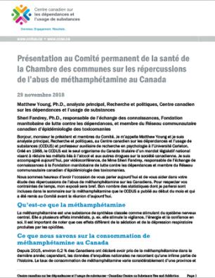 Présentation au Comité permanent de la santé de la Chambre des communes sur les répercussions de l’abus de méthamphétamine au Canada