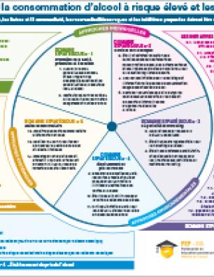 Cadre visant à réduire la consommation d’alcool à risque élevé et les méfaits liés à l’alcool