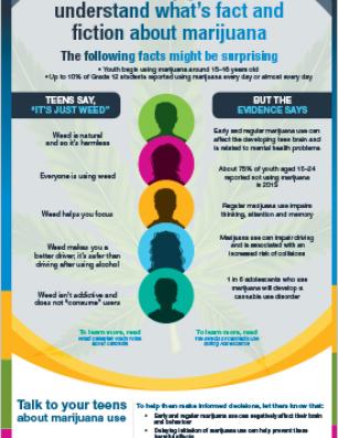 Help Your Teen Understand What's Fact and Fiction about Marijuana [infographic]
