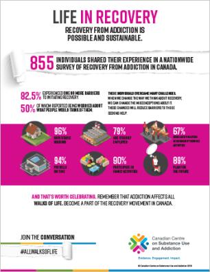 Life in Recovery [fact sheet]