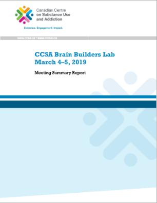 CCSA Brain Builders Lab, March 4–5, 2019: Meeting Summary Report