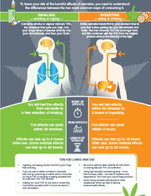 Cannabis: Inhaling vs Ingesting [infographic]