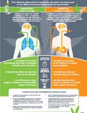 Cannabis : l’inhalation vs l’ingestion [infographie]