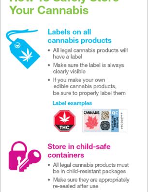 How to Safely Store Your Cannabis [infographic]