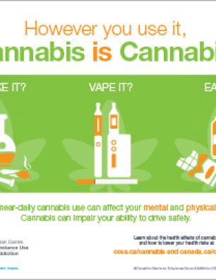 However You Use It, Cannabis is Cannabis [infographic]