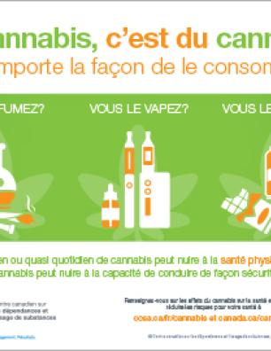 Du cannabis, c’est du cannabis, peu importe la façon de le consommer [infographie]