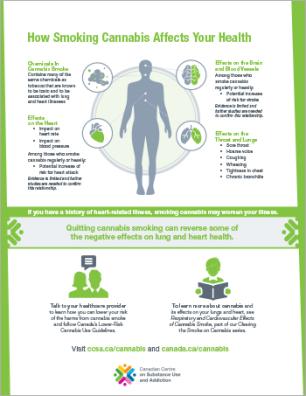 How Smoking Cannabis Affects Your Health [poster]