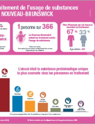 Traitement de l’usage de substances au Nouveau-Brunswick en 2017–2018  [infographie]